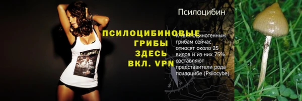 мет Алексин