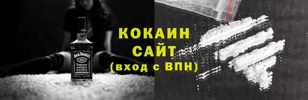 мет Алексин