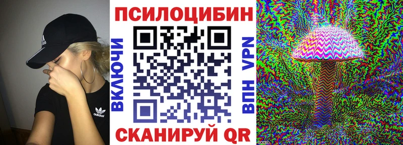 Галлюциногенные грибы Psilocybe  Купить  Суворов 
